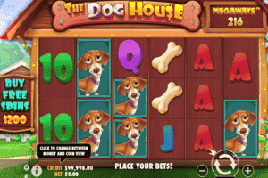 The Dog House_reels